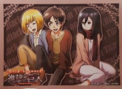 Bushiroad Point Redemption 